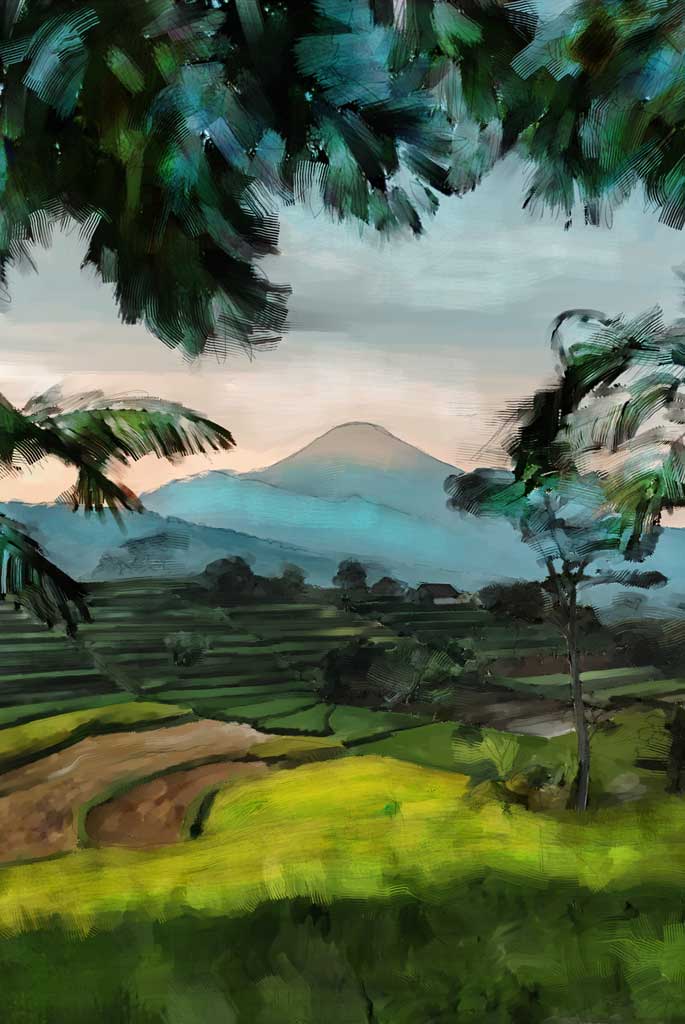 paysage balinais avec volcan et rizières